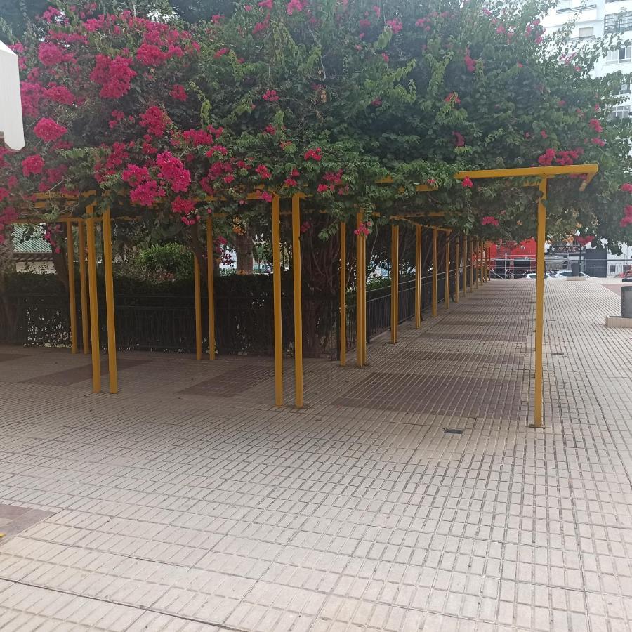 Loft Mediterráneo Málaga Kültér fotó